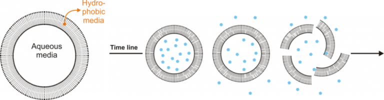 Gradual release of the asset it carries.